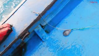 Трюк с наживкой на cá mú как зацепить правильно и не промахнуться