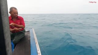 Трюк с наживкой на cá mú как зацепить правильно и не промахнуться