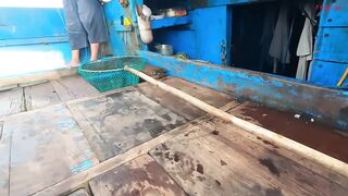 Трюк с наживкой на cá mú как зацепить правильно и не промахнуться