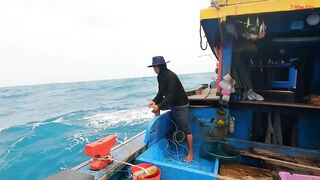 Трюк с наживкой на cá mú как зацепить правильно и не промахнуться