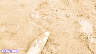 Biển Rạng Núi Thành Quảng Nam - морская рыбалка в VIỆT NAM и клев как в легендах