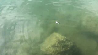 Cam Ranh VIỆT NAM поймал рыбу еж что делать с такой добычей?