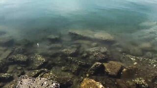 Cam Ranh VIỆT NAM поймал рыбу еж что делать с такой добычей?