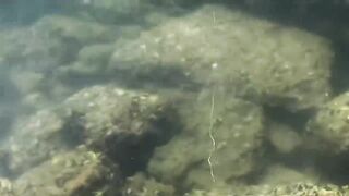 Cam Ranh VIỆT NAM поймал рыбу еж что делать с такой добычей?