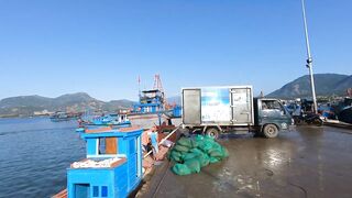 Cam Ranh Fishing Harbor во Вьетнаме выгрузка улова и шум порта