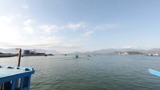 Cam Ranh Fishing Harbor во Вьетнаме выгрузка улова и шум порта