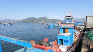 Cam Ranh Fishing Harbor во Вьетнаме выгрузка улова и шум порта