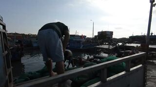 Cam Ranh Fishing Harbor во Вьетнаме выгрузка улова и шум порта