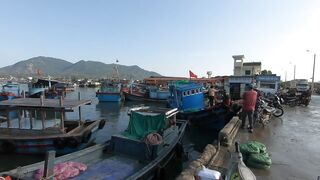 Cam Ranh Fishing Harbor во Вьетнаме выгрузка улова и шум порта