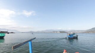 Cam Ranh Fishing Harbor во Вьетнаме выгрузка улова и шум порта