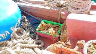 Giã cào Cam Ranh - почему этот промысел так впечатляет?