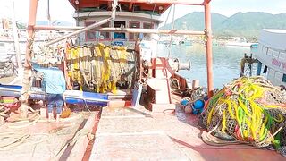 Giã cào Cam Ranh - почему этот промысел так впечатляет?