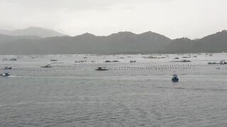 Лодки в Cam Ranh Bay, Vietnam и утренний выход на воду
