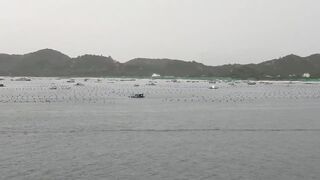 Лодки в Cam Ranh Bay, Vietnam и утренний выход на воду