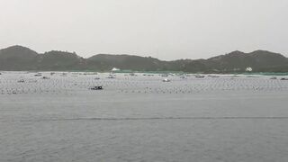 Лодки в Cam Ranh Bay, Vietnam и утренний выход на воду