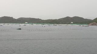 Лодки в Cam Ranh Bay, Vietnam и утренний выход на воду