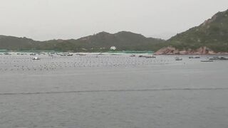 Лодки в Cam Ranh Bay, Vietnam и утренний выход на воду