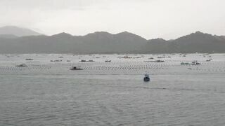 Лодки в Cam Ranh Bay, Vietnam и утренний выход на воду