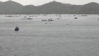 Лодки в Cam Ranh Bay, Vietnam и утренний выход на воду