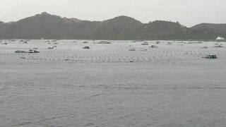 Лодки в Cam Ranh Bay, Vietnam и утренний выход на воду