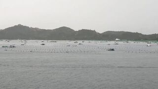 Лодки в Cam Ranh Bay, Vietnam и утренний выход на воду