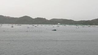 Лодки в Cam Ranh Bay, Vietnam и утренний выход на воду
