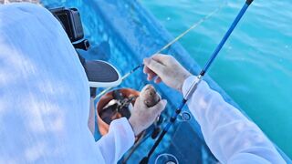 морская рыбалка в Нячанге нереальный клев и удары на каждом забросе