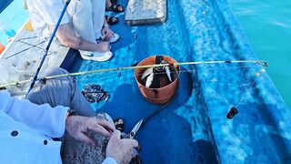 морская рыбалка в Нячанге нереальный клев и удары на каждом забросе