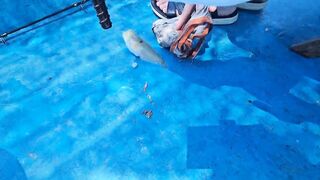 морская рыбалка в Нячанге нереальный клев и удары на каждом забросе