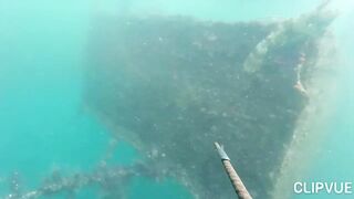 Подводная охота у Tôm Hùm, что можно взять со дна за день?