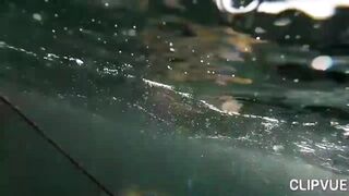 Подводная охота у Tôm Hùm, что можно взять со дна за день?