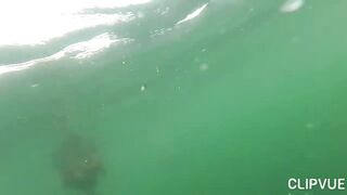 Подводная охота у Tôm Hùm, что можно взять со дна за день?