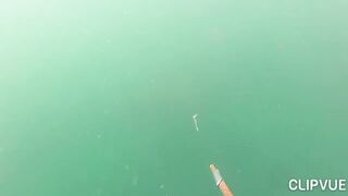 Подводная охота у Tôm Hùm, что можно взять со дна за день?