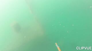 Подводная охота у Tôm Hùm, что можно взять со дна за день?