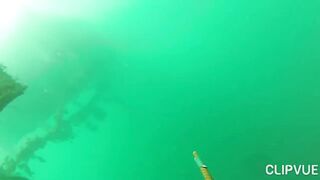 Подводная охота у Tôm Hùm, что можно взять со дна за день?