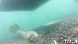 Подводная охота у Tôm Hùm, что можно взять со дна за день?