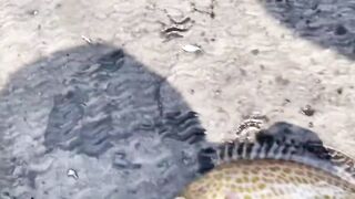 Nha Trang Vlog 08 выход в открытое море и резкие поклевки у берега