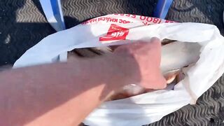 Nha Trang Vlog 08 выход в открытое море и резкие поклевки у берега