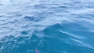 Nha Trang Vlog 08 выход в открытое море и резкие поклевки у берега