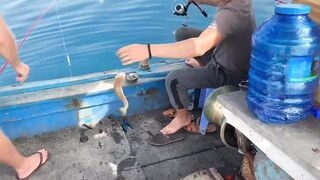 Nha Trang Vlog 08 выход в открытое море и резкие поклевки у берега