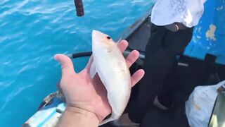 Nha Trang Vlog 08 выход в открытое море и резкие поклевки у берега