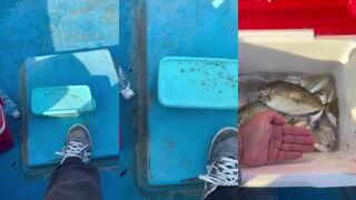 Lụm hàng câu cá Cam Ranh и рыба с первого заброса