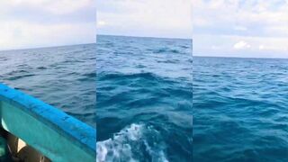 Морская рыбалка в Cam Ranh (Камрань) рядом с аэропортом и реально ли с берега