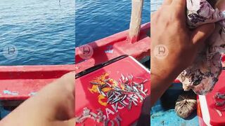 câu cá Nóc. Как ловят рыбу-фугу и на что она клюет?