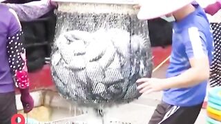 Hainan - после сезонного запрета первый большой улов у рыбаков