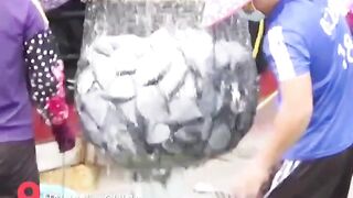 Hainan - после сезонного запрета первый большой улов у рыбаков