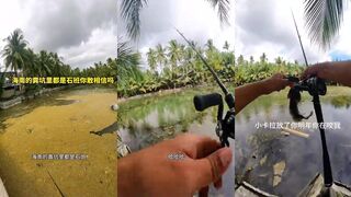 海南 загадочная точка на 石斑 обрывы лески и нервные поклевки