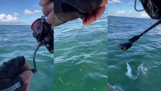 Spanish mackerel в Varadero атаки на топвотер и резкие рывки у поверхности