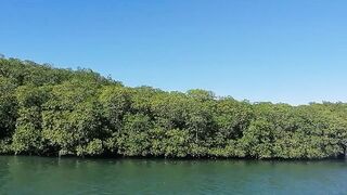 Cuba Varadero лангусты и вечерний стол после морского выхода