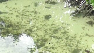 морская рыбалка на Кубе: учусь спиннингу с нуля на атлантическом берегу